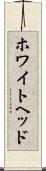 ホワイトヘッド Scroll