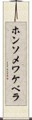 ホンソメワケベラ Scroll