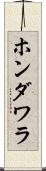 ホンダワラ Scroll