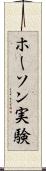 ホーソン実験 Scroll