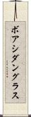 ボアシダングラス Scroll