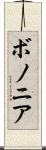 ボノニア Scroll