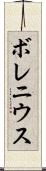 ボレニウス Scroll