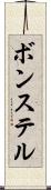 ボンステル Scroll