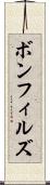 ボンフィルズ Scroll