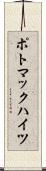 ポトマックハイツ Scroll