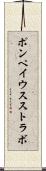 ポンペイウスストラボ Scroll