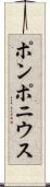 ポンポニウス Scroll