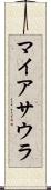 マイアサウラ Scroll