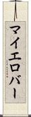 マイエロバー Scroll