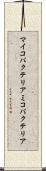 マイコバクテリア Scroll