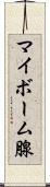 マイボーム腺 Scroll