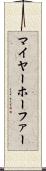 マイヤーホーファー Scroll