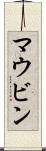 マウビン Scroll