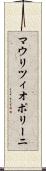 マウリツィオポリーニ Scroll