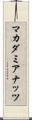 マカダミアナッツ Scroll