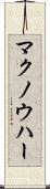 マクノウハー Scroll