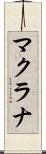 マクラナ Scroll