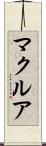 マクルア Scroll
