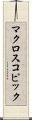 マクロスコピック Scroll
