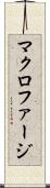マクロファージ Scroll