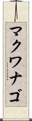 マクワナゴ Scroll