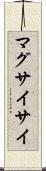 マグサイサイ Scroll