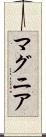 マグニア Scroll