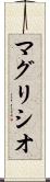 マグリシオ Scroll