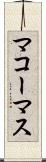 マコーマス Scroll