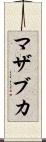 マザブカ Scroll