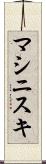 マシニスキ Scroll