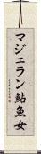 マジェラン鮎魚女 Scroll