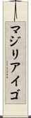 マジリアイゴ Scroll
