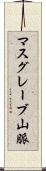 マスグレーブ山脈 Scroll