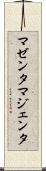 マゼンタ Scroll