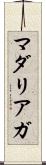 マダリアガ Scroll