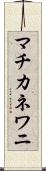 マチカネワニ Scroll