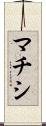 マチシ Scroll
