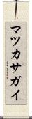 マツカサガイ Scroll