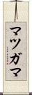 マツガマ Scroll
