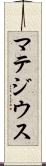 マテジウス Scroll