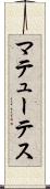 マテューテス Scroll