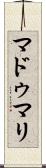Madumali Scroll