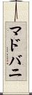 マドバニ Scroll