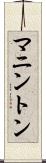 マニントン Scroll
