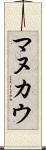 マヌカウ Scroll