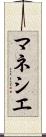マネシエ Scroll