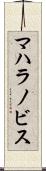 マハラノビス Scroll