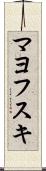 マヨフスキ Scroll